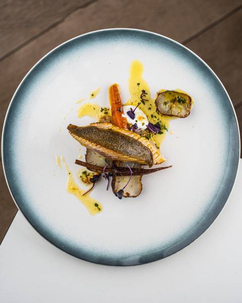 Découvrez notre Galerie Photo