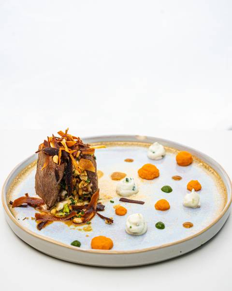 Découvrez notre Galerie Photo