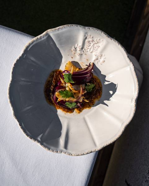 Découvrez notre Galerie Photo