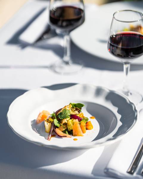 Découvrez notre Galerie Photo